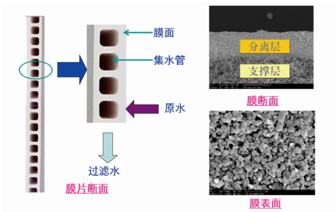 1668736395545577.png 7.png