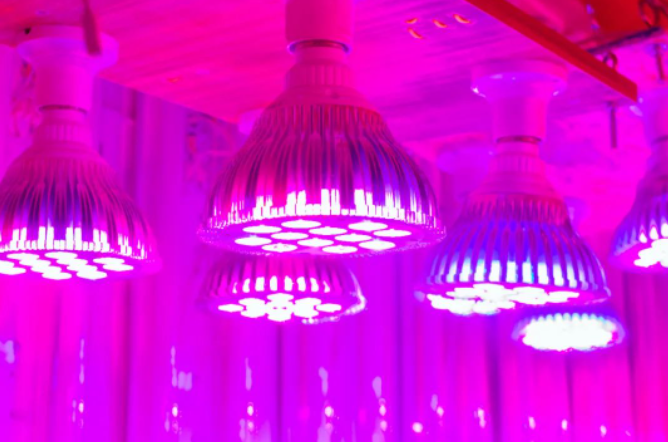 1685670431127833.png 6.png