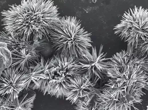 1699578399740640.png 6.png