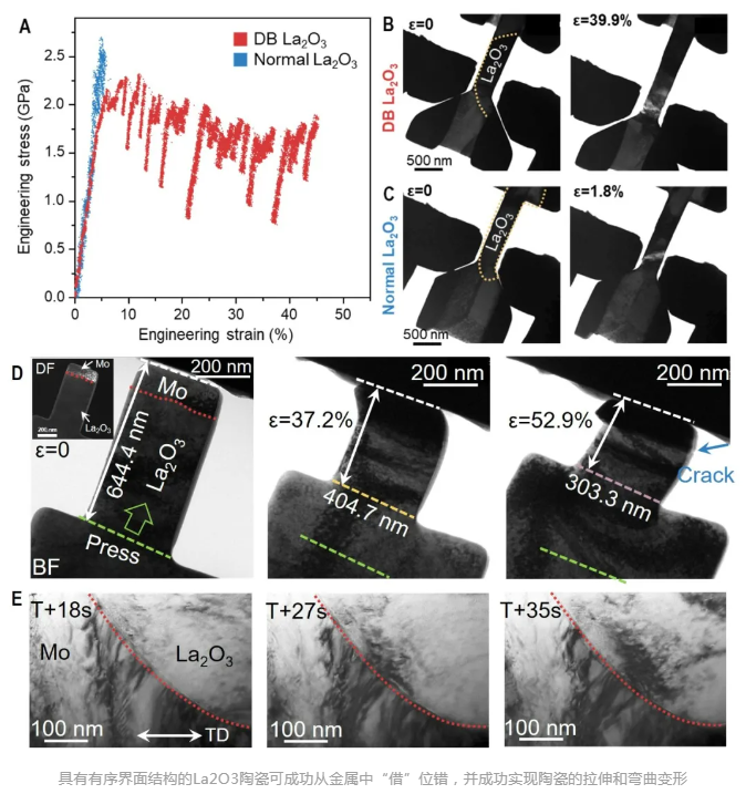 1723168505951882.png 2.png