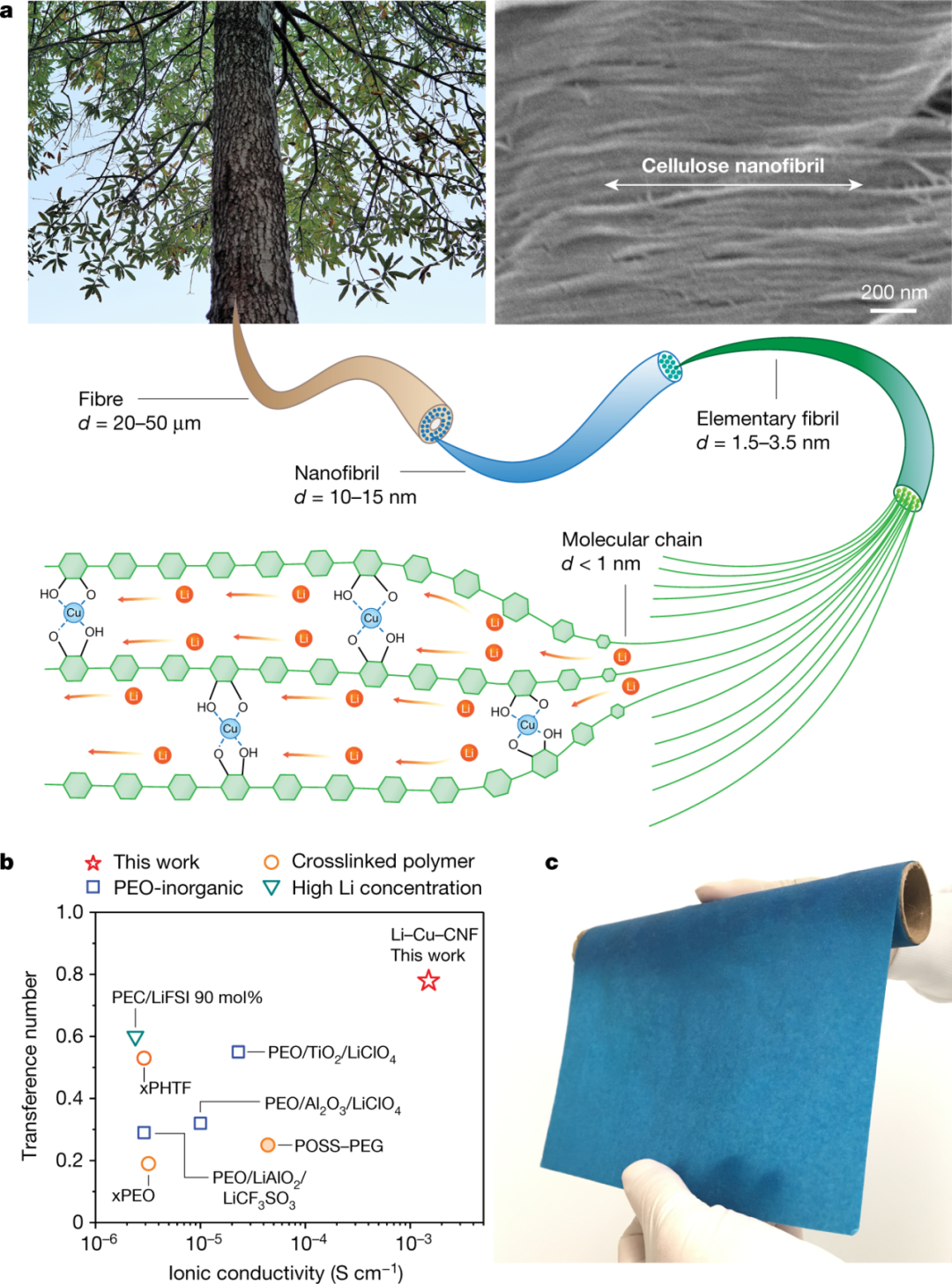 1741915860927163.png 11.png